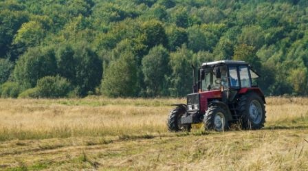 До 20 август включително се забранява поддържането на постоянно затревените